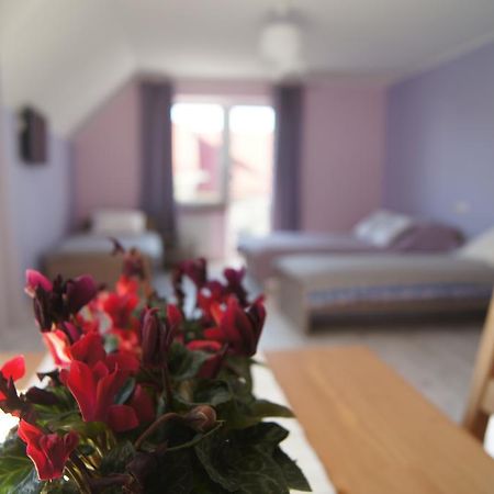 Villa Terra Pruszcz Gdanski Luaran gambar